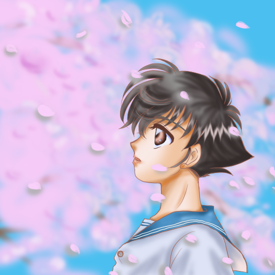 ���̖؂̉���